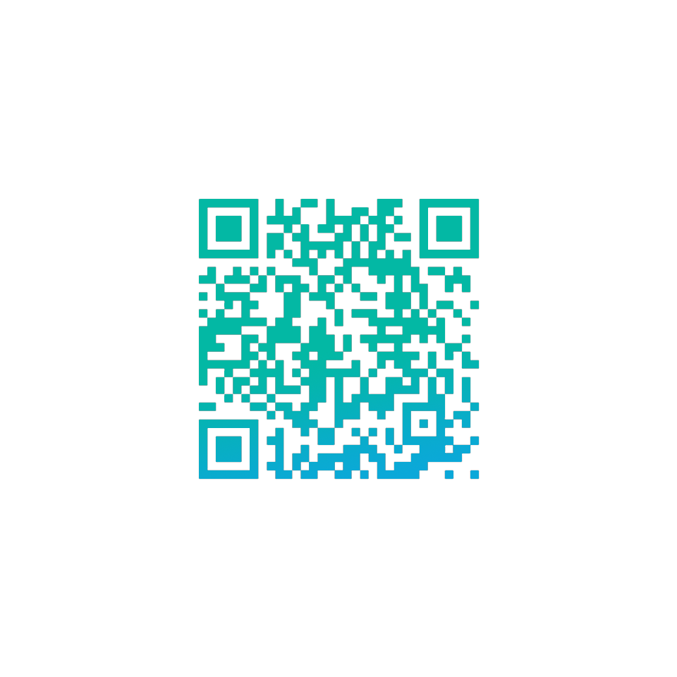 QR Code Preview